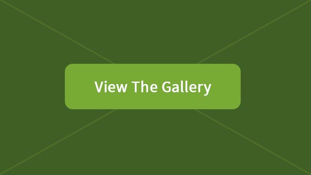 View the Gallery